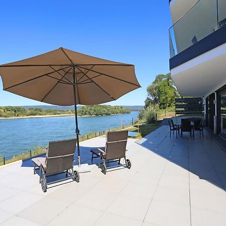 Rhein Lounge Apartment Urmitz Екстериор снимка